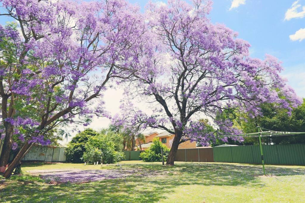 Jacaranda Cottage Dubbo Kültér fotó